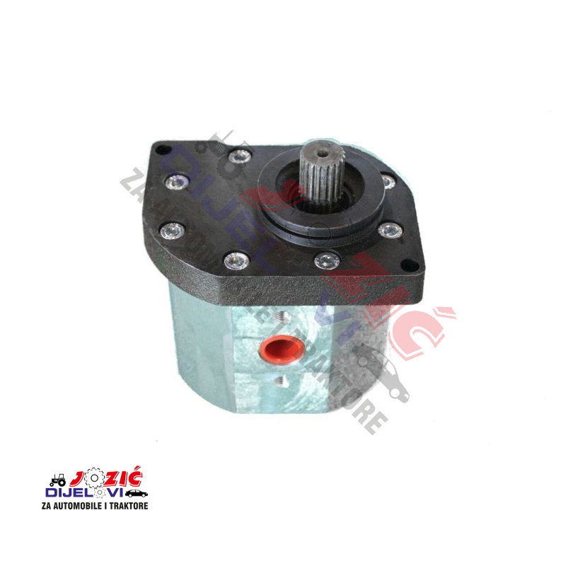 Daisy on the Ohoopee